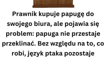 krotkie kawały