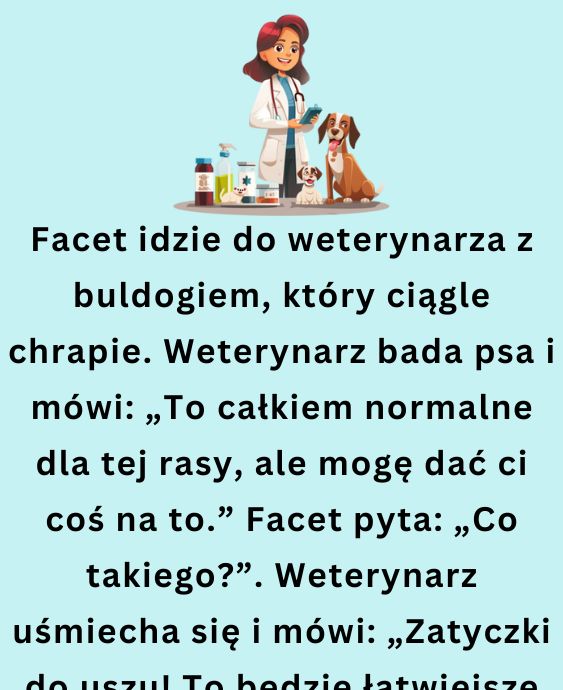 żart o buldogu